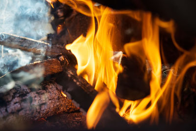 Close up photo of bonfire. fire for outside cooking 