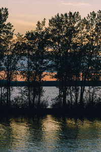 Silhouette trees by lake against sky during sunset