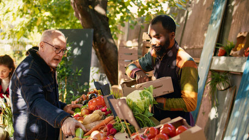 Side view of young woman picking apples