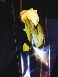 yellow