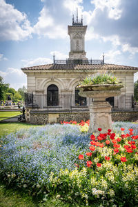 View of flowering plants in park