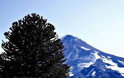 Low angle view of blue sky
