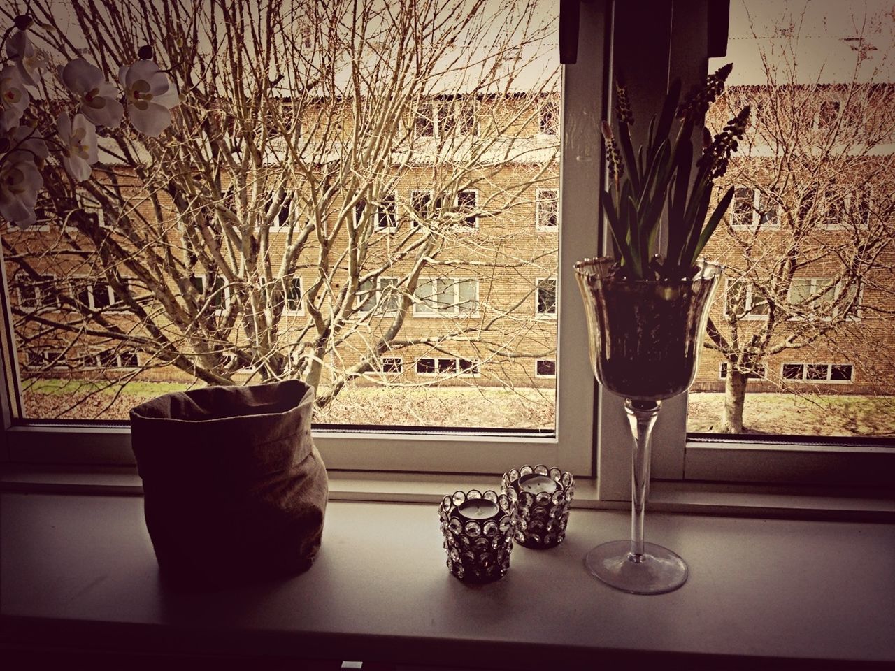 indoors, window, table, potted plant, glass - material, plant, home interior, window sill, chair, transparent, vase, house, absence, still life, no people, built structure, architecture, day, growth, food and drink