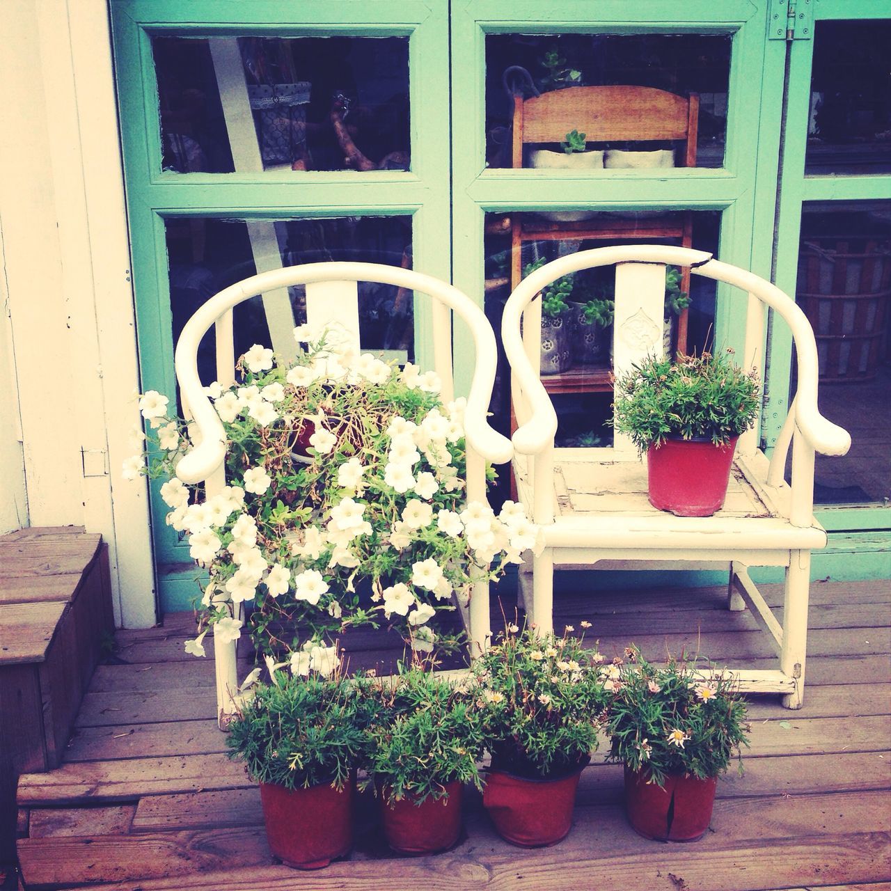 potted plant, plant, growth, built structure, architecture, house, window, flower, flower pot, building exterior, pot plant, green color, door, wood - material, nature, front or back yard, day, leaf, residential structure, wall