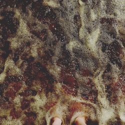 Low section of person standing on sand