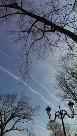 Low angle view of bare trees against sky