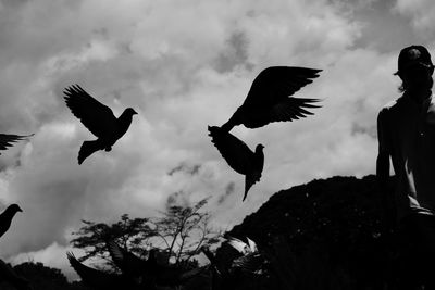 Low angle view of birds flying against sky