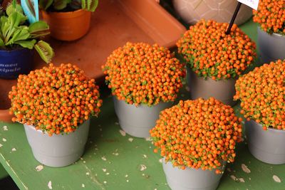 Close-up of vegetables for sale