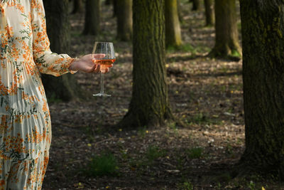Abstract young woman with glass of rose wine in forest