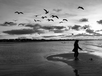 Woman at beach with birds flying over sea