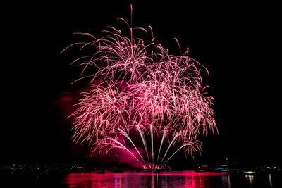 Low angle view of firework display against sky at night