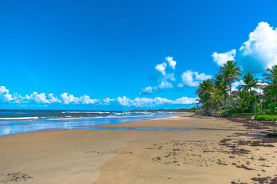 Scenic view of beach against blue sky