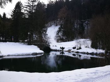 Scenic view of snow covered land and trees