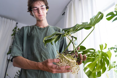 Man holding monstera deliciosa, swiss cheese roots. cultivation and caring for indoor potted plants