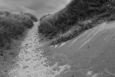 Sand dunes on beach against sky