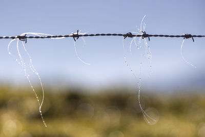 Close up of a fence with hair hanging on it