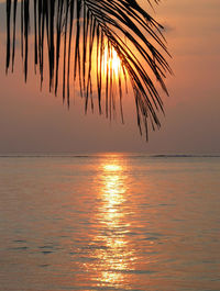 Scenic view of sunset over sea