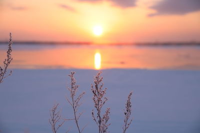 Scenic view of sea against orange sky