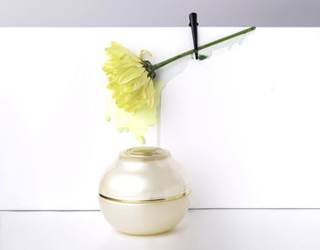 Cream with floral extracts for skin care. spa concept. nature cosmetics in jar with yellow flower 