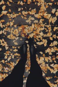 Low section of woman standing on autumn leaves