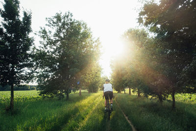Rear view of man riding bicycle on field