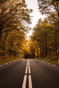 Road amidst trees against sky during autumn