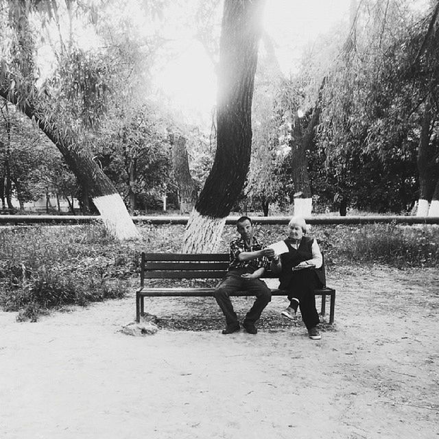 tree, bench, leisure activity, relaxation, chair, park - man made space, lifestyles, sitting, park bench, men, person, sunlight, empty, full length, tree trunk, day, rear view, seat