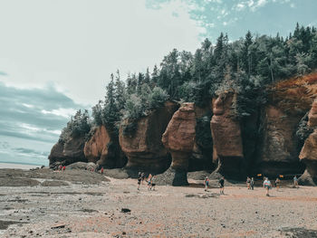 Group of people on beach against sky