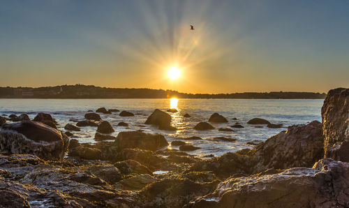 Scenic view of sea against sky during sunset