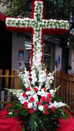 Flowers on tree by building