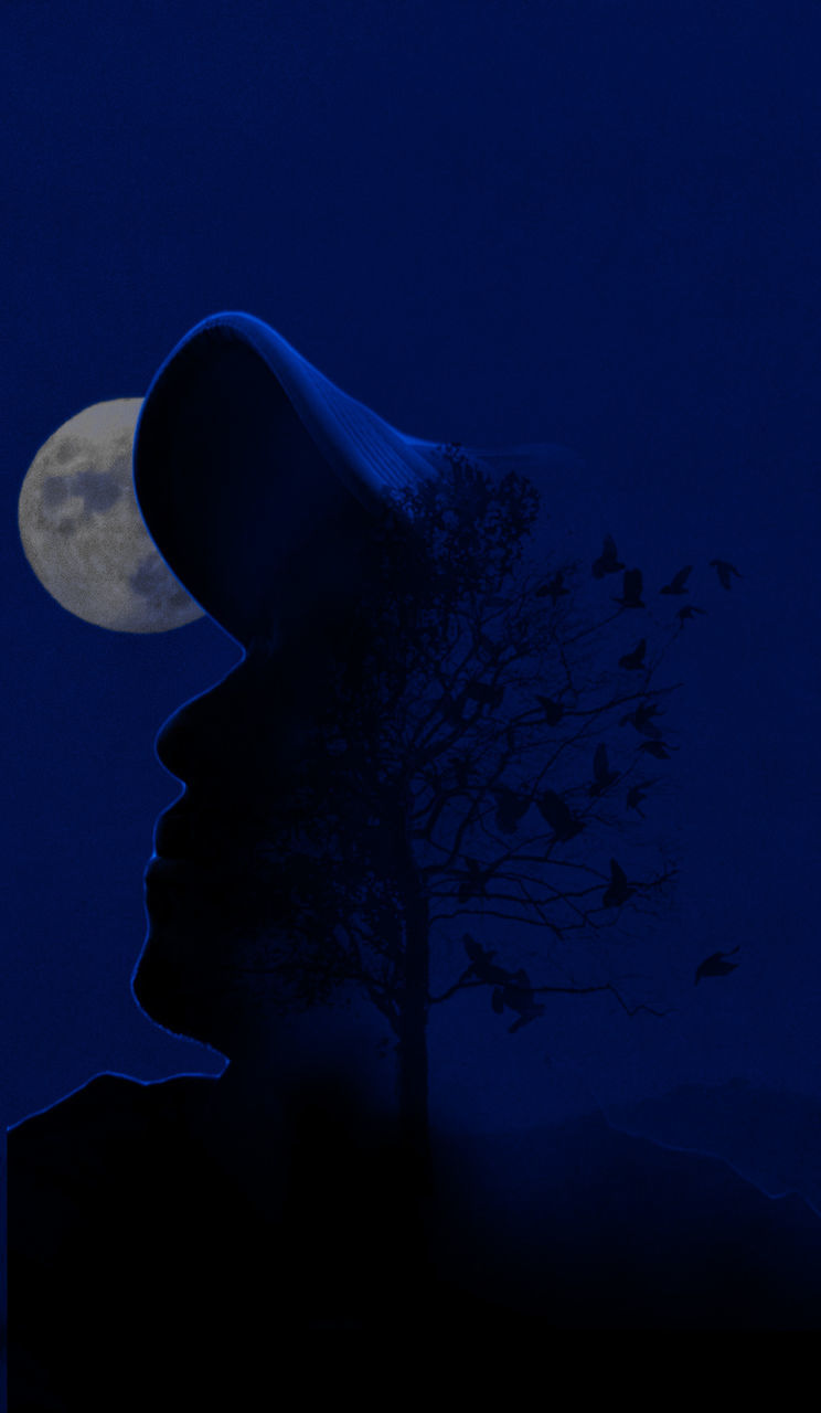 blue, moonlight, darkness, silhouette, sky, night, nature, moon, reflection, no people, tree, dark, light, outdoors, animal, beauty in nature