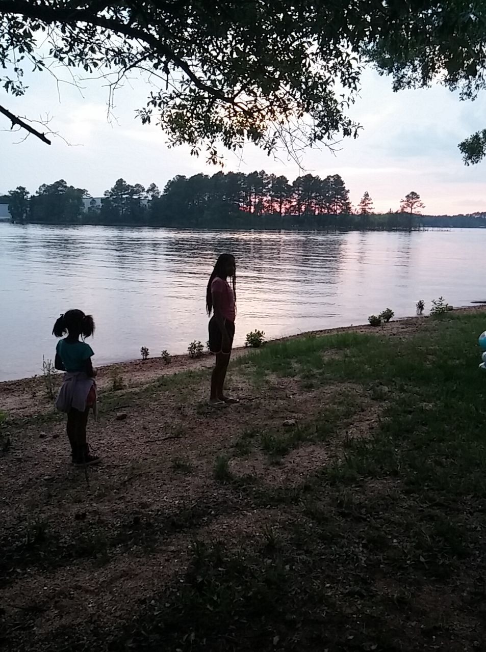 full length, water, lifestyles, rear view, leisure activity, casual clothing, standing, tree, boys, tranquility, childhood, walking, lake, nature, tranquil scene, sky, grass, person