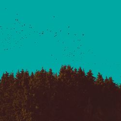 Low angle view of birds flying against clear sky