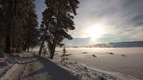 Scenic view of sunlight on snow covered field