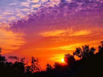 Low angle view of silhouette trees against orange sky