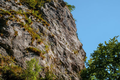 Ramet gorges from transylvania, trascau mountains, alba county, romania