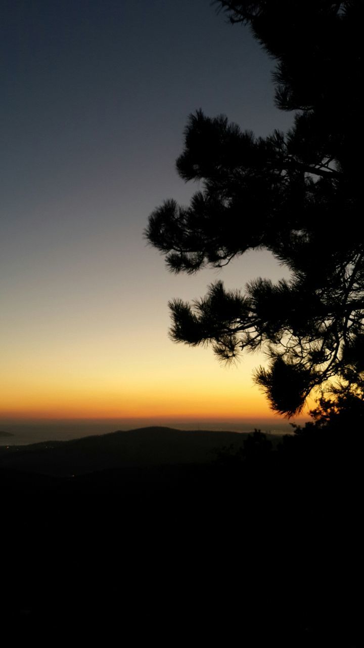 silhouette, sunset, tree, tranquil scene, tranquility, scenics, clear sky, landscape, beauty in nature, copy space, nature, dark, outline, outdoors, blue, remote, horizon over land, non-urban scene, mountain, no people, majestic