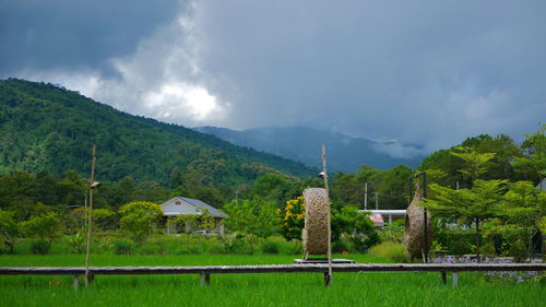 Panoramic view of trees and buildings against sky