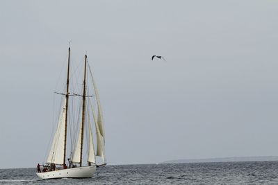 View of boats in sea against clear sky