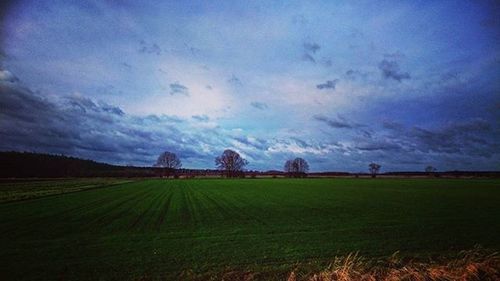 Scenic view of grassy field against cloudy sky