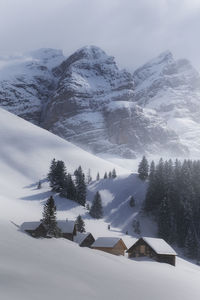 Scenic view of snow covered mountains and trees against sky