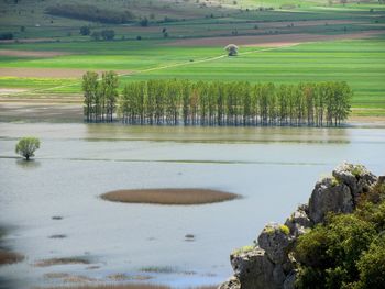 Scenic view of farm