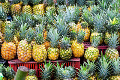 Fruits for sale at market stall