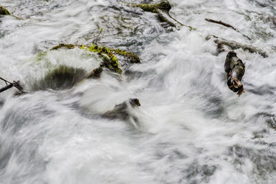 High angle view of waterfall