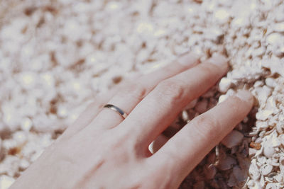 Cropped image of woman