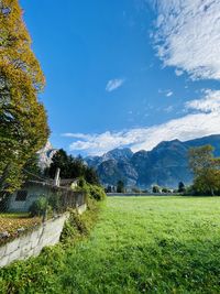 Scenic view of field against sky