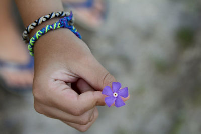 Cropped image of girl hand holding purple flower