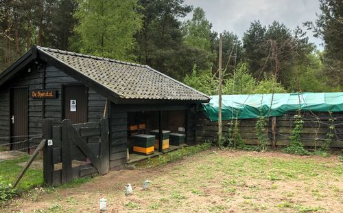 Built structure against trees