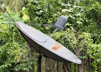 Close-up of abandoned boat against trees