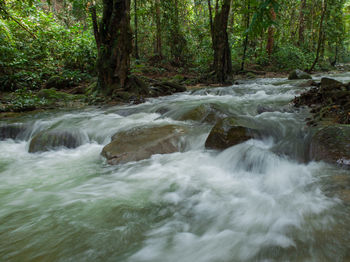 Scenic view of waterfall in forest